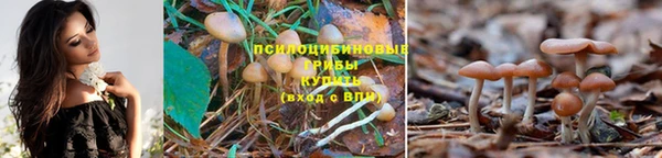 соль ск Абинск