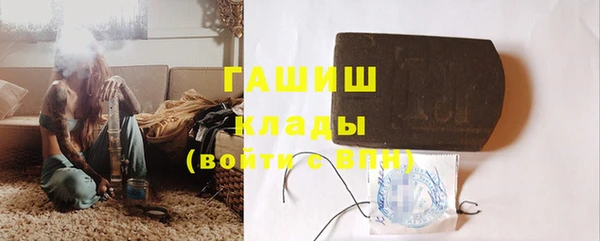 индика Алексин